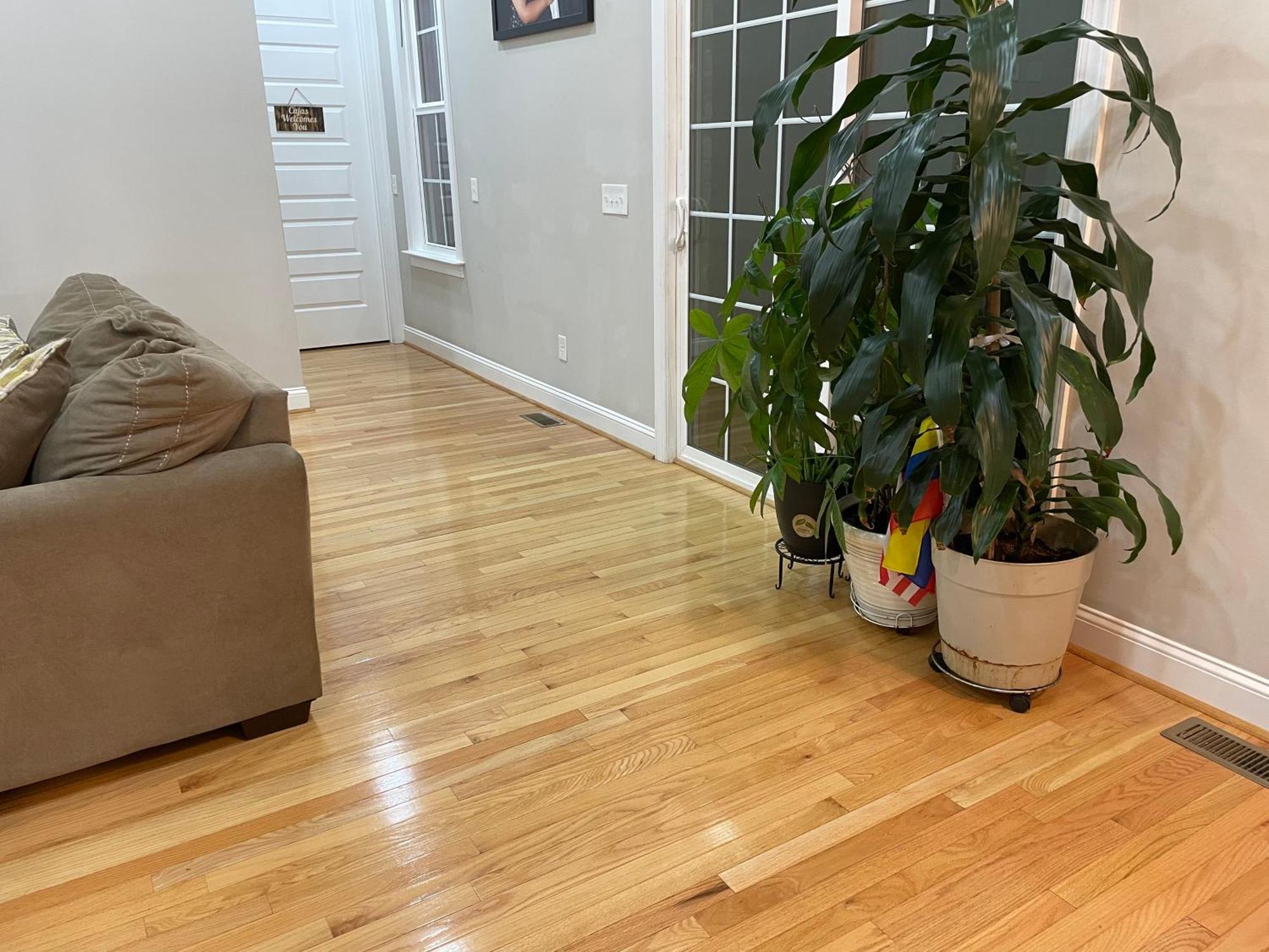 WhitsettLa Casa Grande Hosting公寓 外观 照片